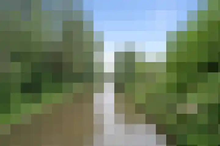 Schonauwen 43 IJsselstein thumbnail 30