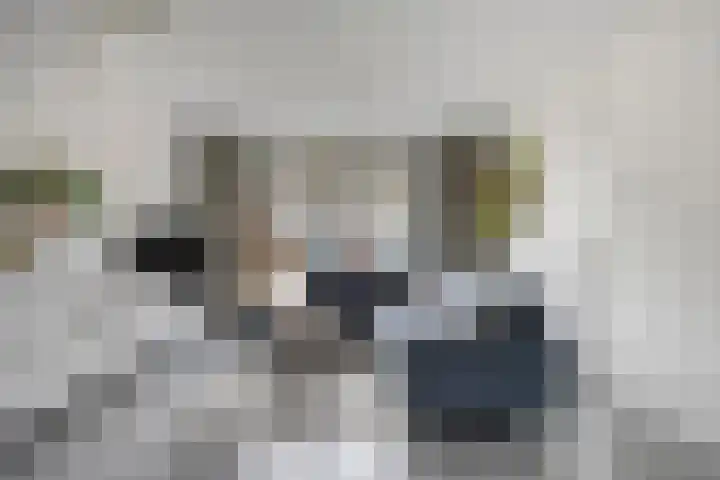 Schönberglaan 28 Utrecht thumbnail 13