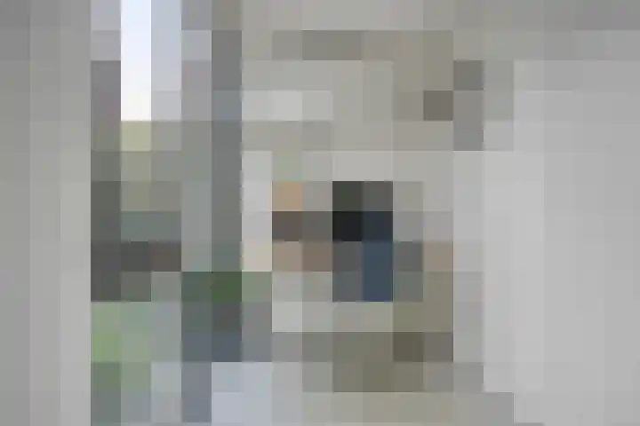 Schönberglaan 28 Utrecht thumbnail 15