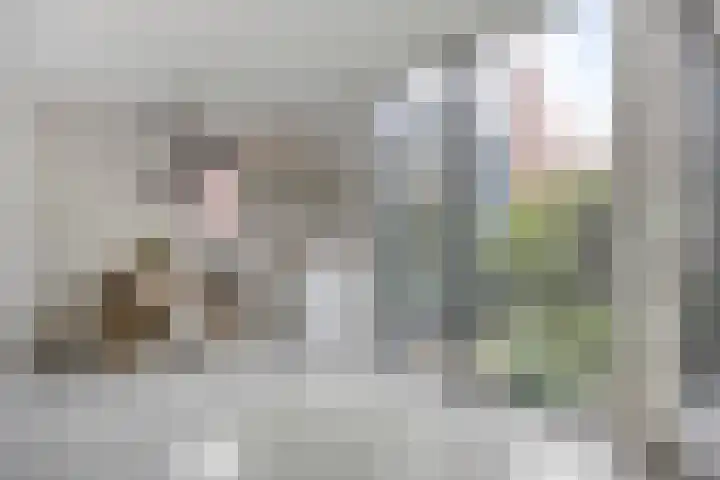Schönberglaan 28 Utrecht thumbnail 17