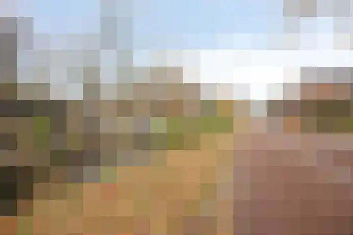 Schönberglaan 28 Utrecht thumbnail 40