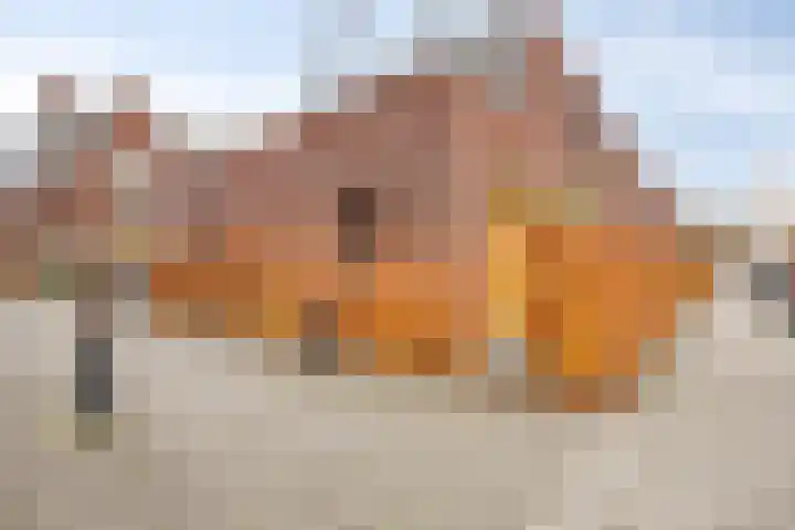 Schönberglaan 28 Utrecht thumbnail 8