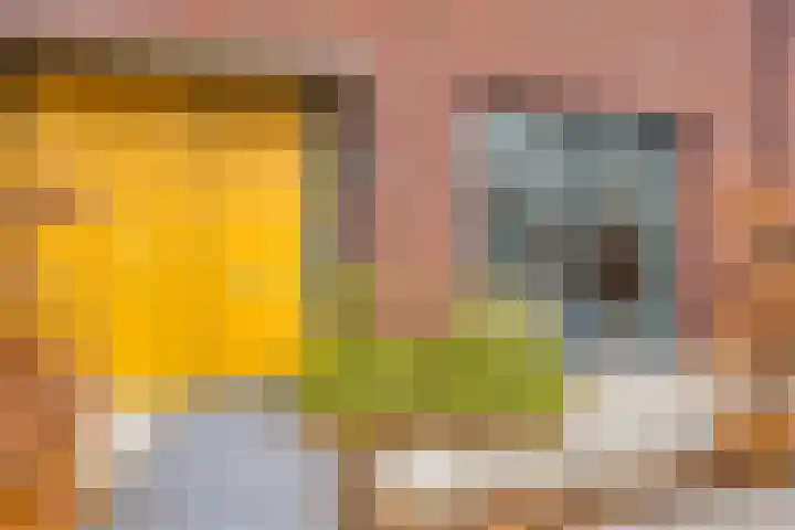 Schönberglaan 28 Utrecht thumbnail 9