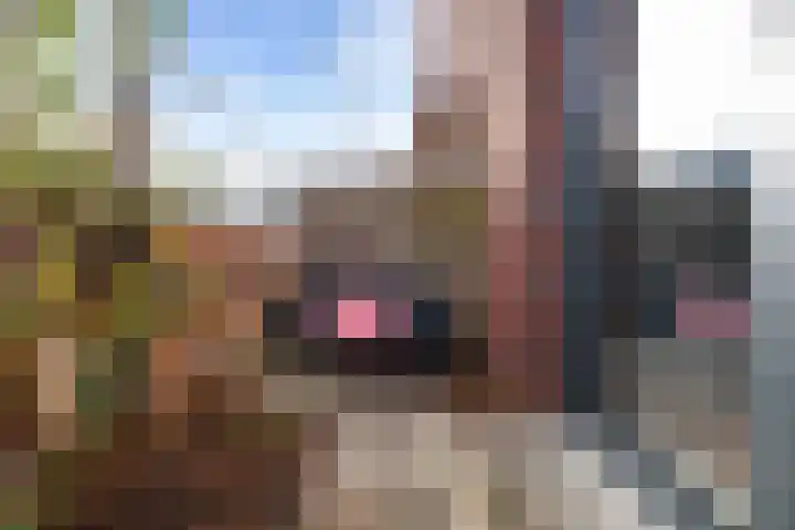 Schönberglaan 6 Utrecht thumbnail 16