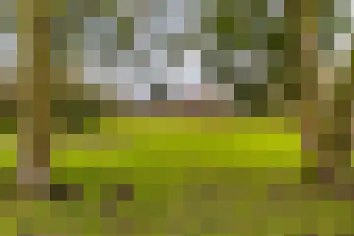 Schönberglaan 6 Utrecht thumbnail 42