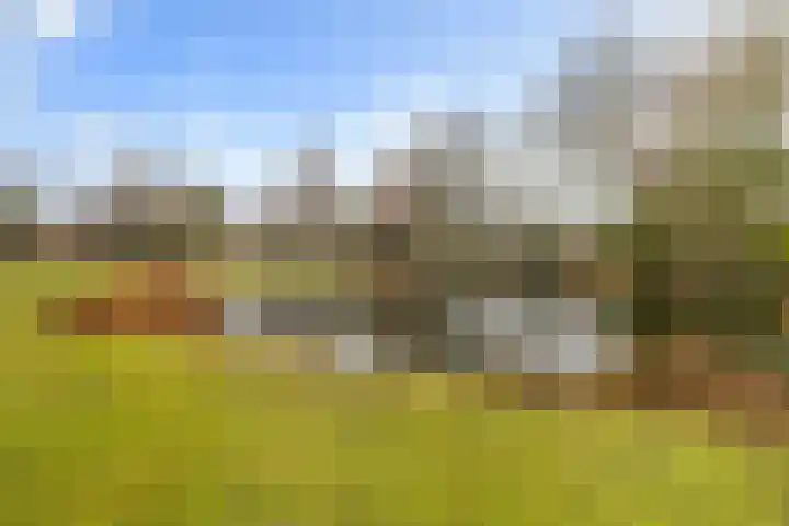 Schönberglaan 6 Utrecht thumbnail 43