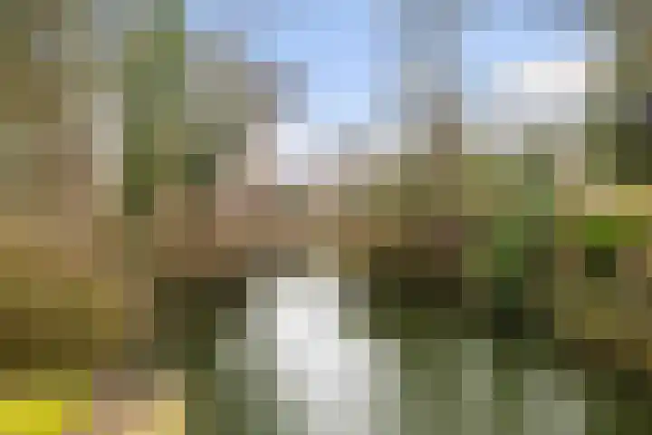 Schönberglaan 6 Utrecht thumbnail 45