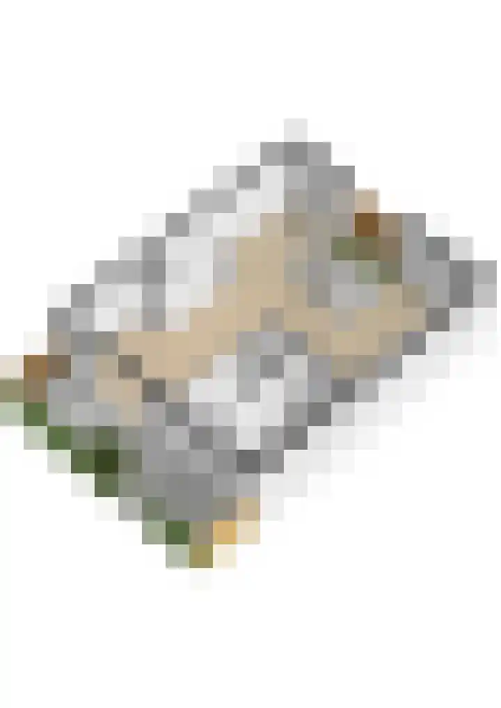 Schönberglaan 6 Utrecht thumbnail 55
