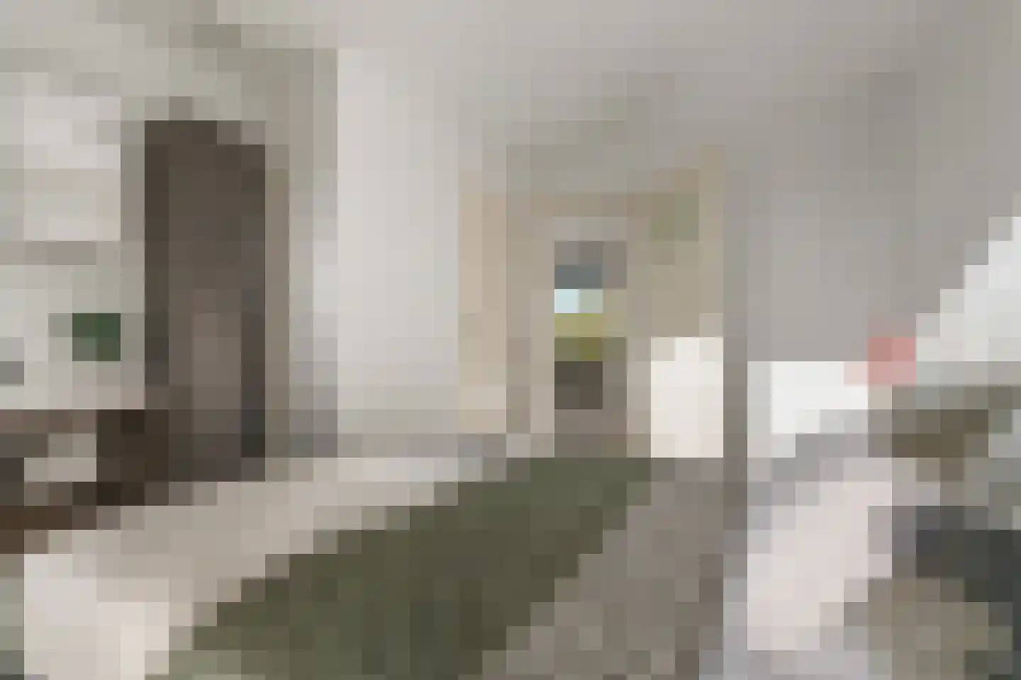 Schönberglaan 7 A Utrecht thumbnail 15