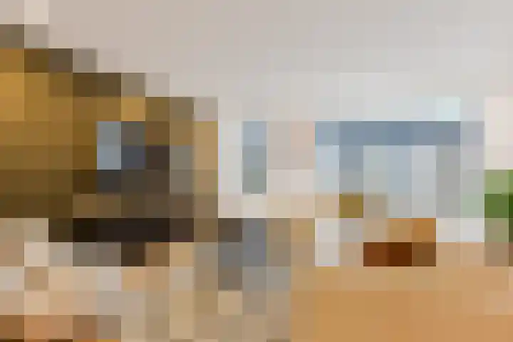 Schönbergrode 32 Zoetermeer thumbnail 10
