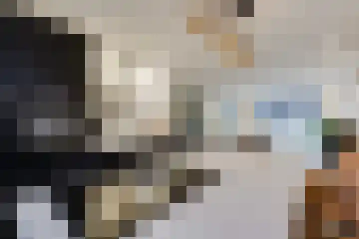 Schönbergrode 32 Zoetermeer thumbnail 14