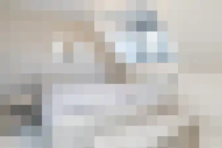 Schönbergrode 32 Zoetermeer thumbnail 15