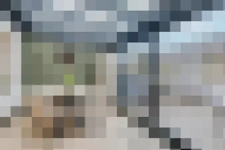 Schönbergrode 32 Zoetermeer thumbnail 17
