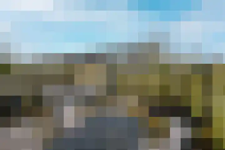 Schönbergrode 32 Zoetermeer thumbnail 19