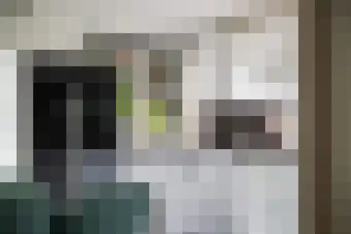 Schönbergrode 32 Zoetermeer thumbnail 20