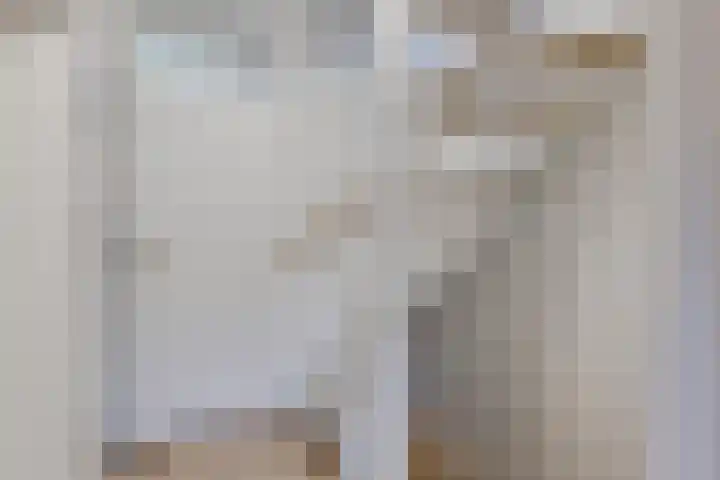Schönbergrode 32 Zoetermeer thumbnail 24