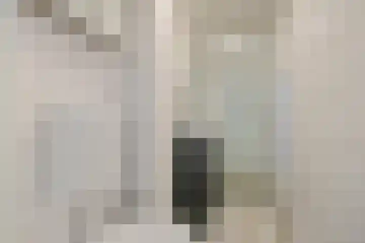 Schönbergrode 32 Zoetermeer thumbnail 26