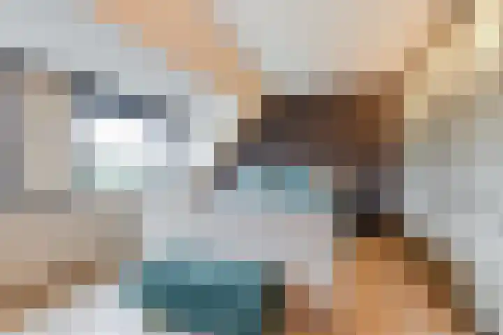 Schönbergrode 32 Zoetermeer thumbnail 27