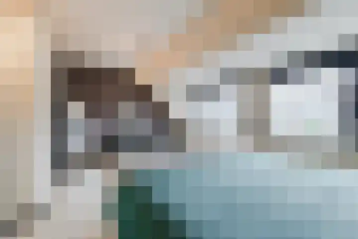 Schönbergrode 32 Zoetermeer thumbnail 28