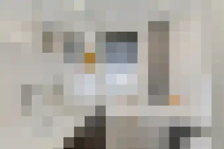 Schönbergrode 32 Zoetermeer thumbnail 30
