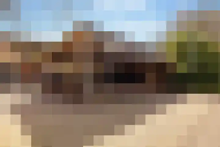 Schönbergrode 32 Zoetermeer thumbnail 33