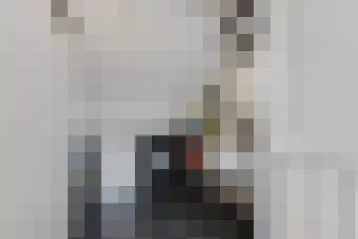 Schönbergrode 32 Zoetermeer thumbnail 34