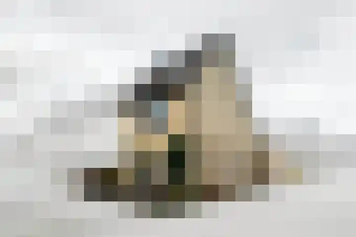 Schönbergrode 32 Zoetermeer thumbnail 39