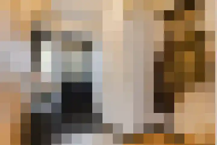 Schönbergrode 32 Zoetermeer thumbnail 7