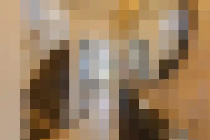 Schönbergrode 32 Zoetermeer thumbnail 9