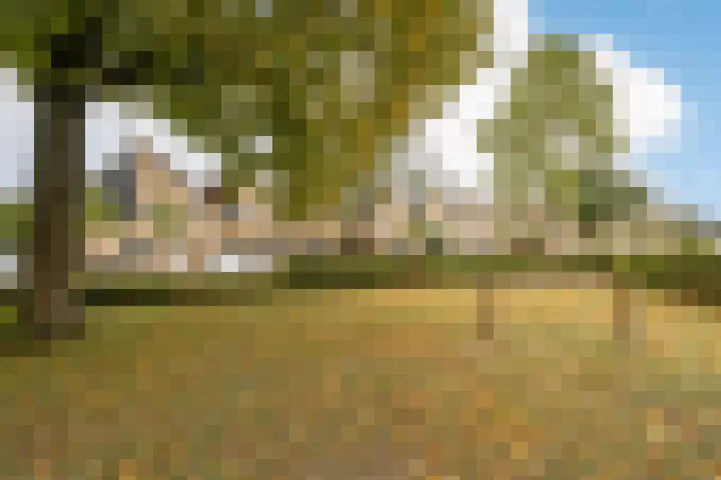 Schönbergweg 15 Almere thumbnail 53