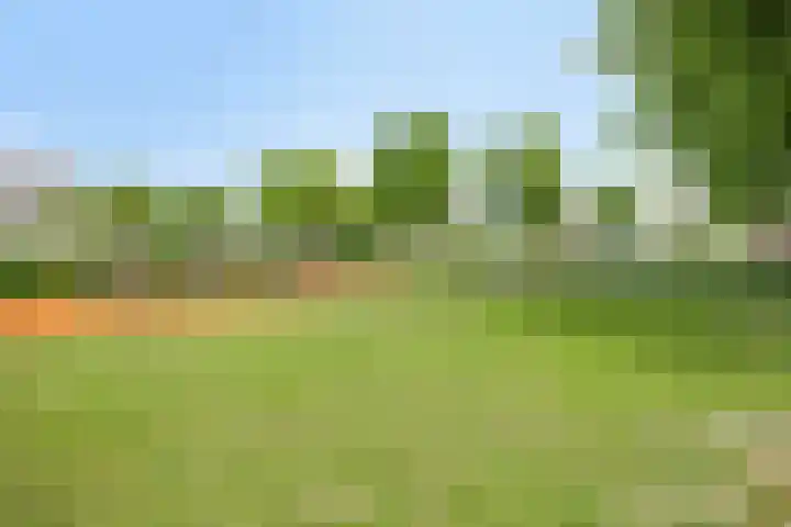 Schönbergweg 26 Almere thumbnail 47