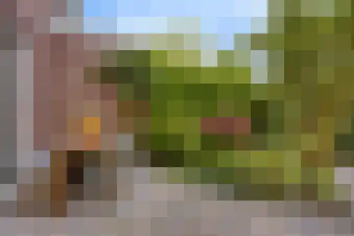 Schonckstraat 18 Nijmegen thumbnail 10