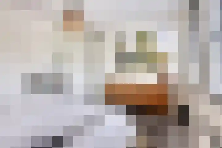 Schonckstraat 18 Nijmegen thumbnail 18