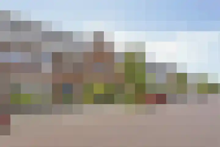 Schonckstraat 18 Nijmegen thumbnail 31