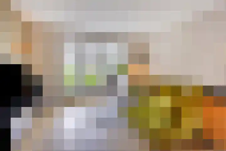 Schonckstraat 18 Nijmegen thumbnail 6