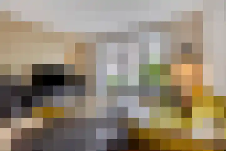 Schonckstraat 18 Nijmegen thumbnail 7