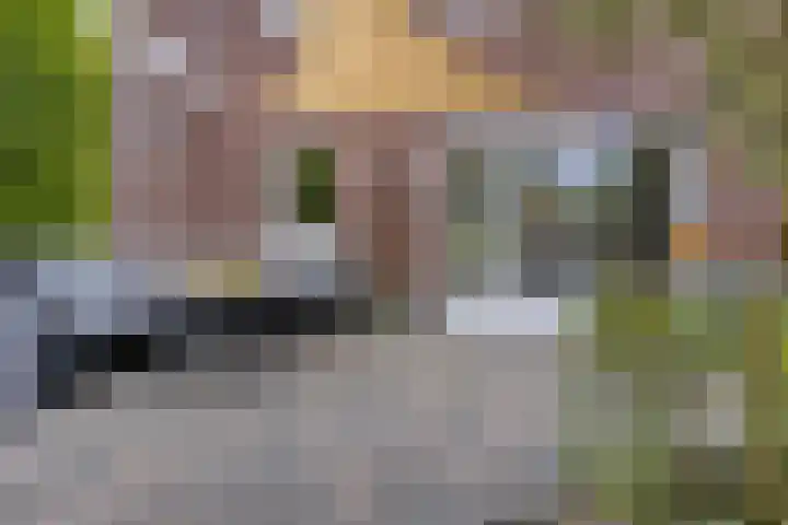 Schonckstraat 18 Nijmegen thumbnail 9