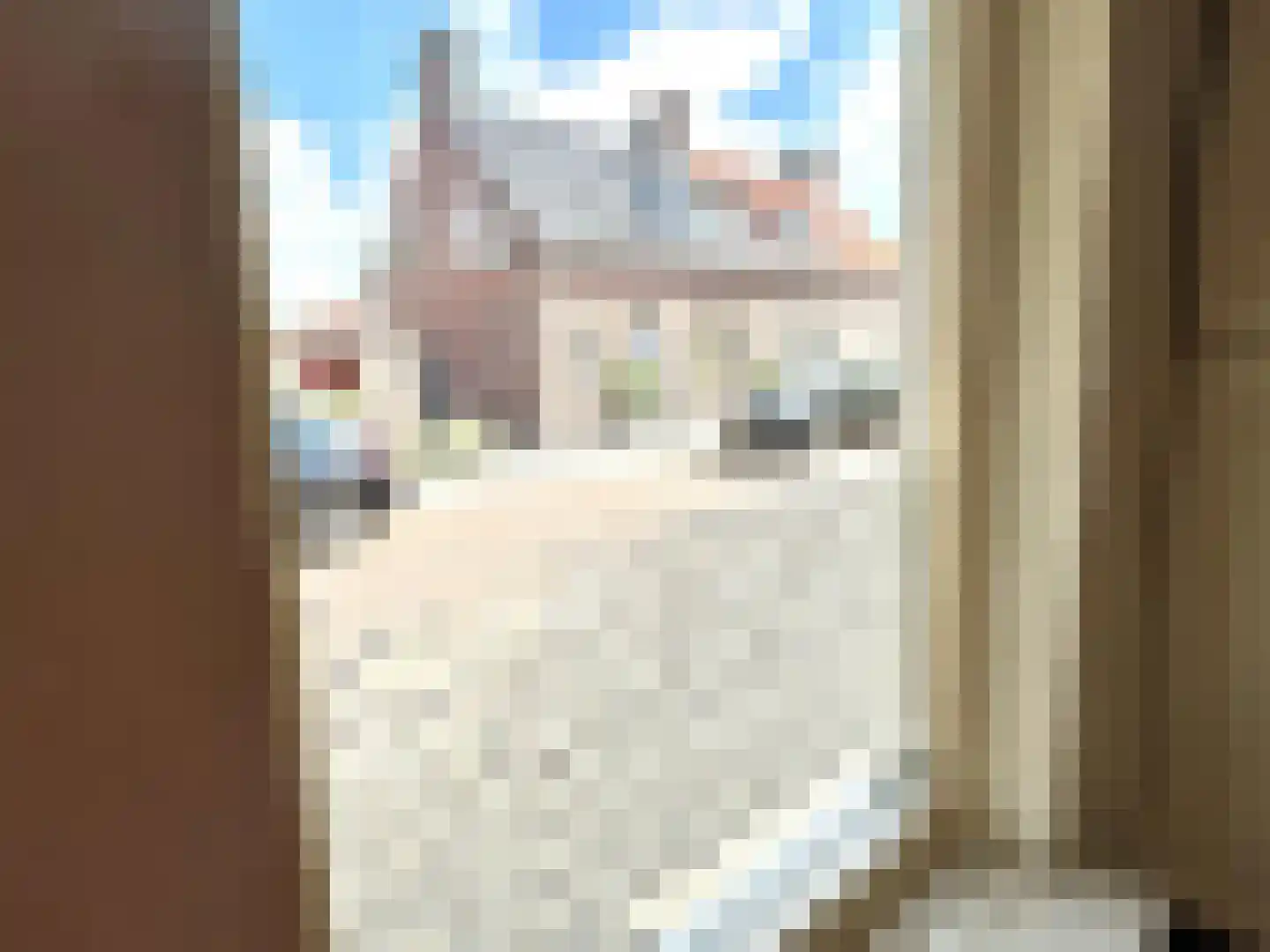 Schonckweg 13 Etten-Leur thumbnail 11