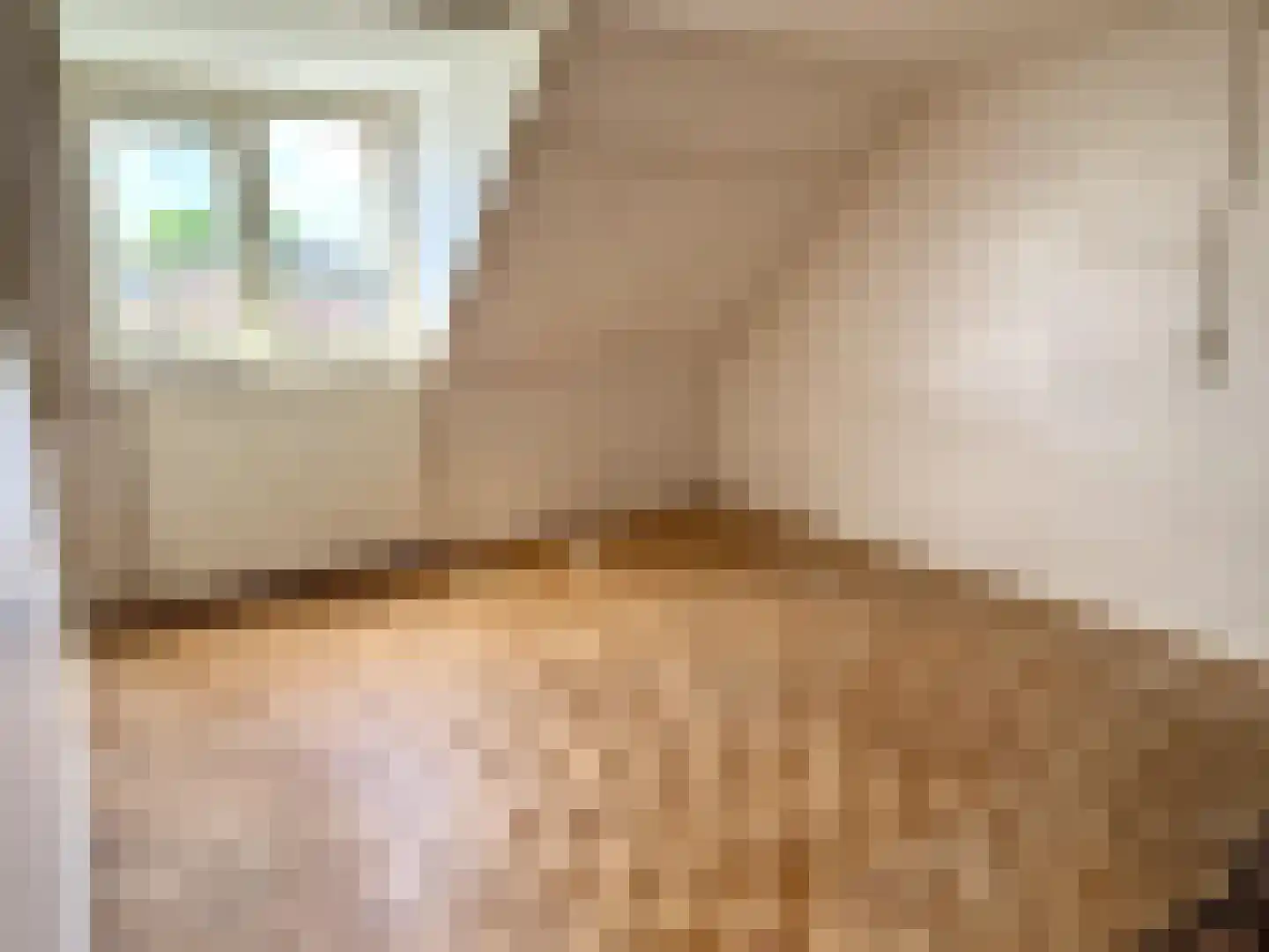 Schonckweg 13 Etten-Leur thumbnail 19