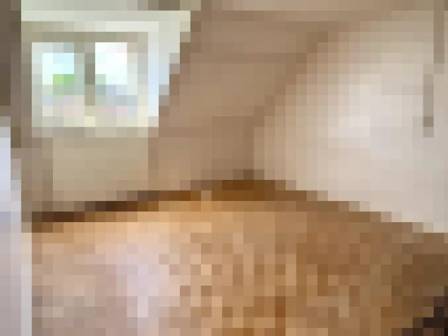 Schonckweg 13 Etten-Leur thumbnail 19