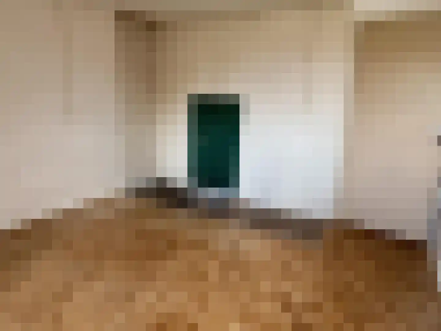 Schonckweg 13 Etten-Leur thumbnail 20