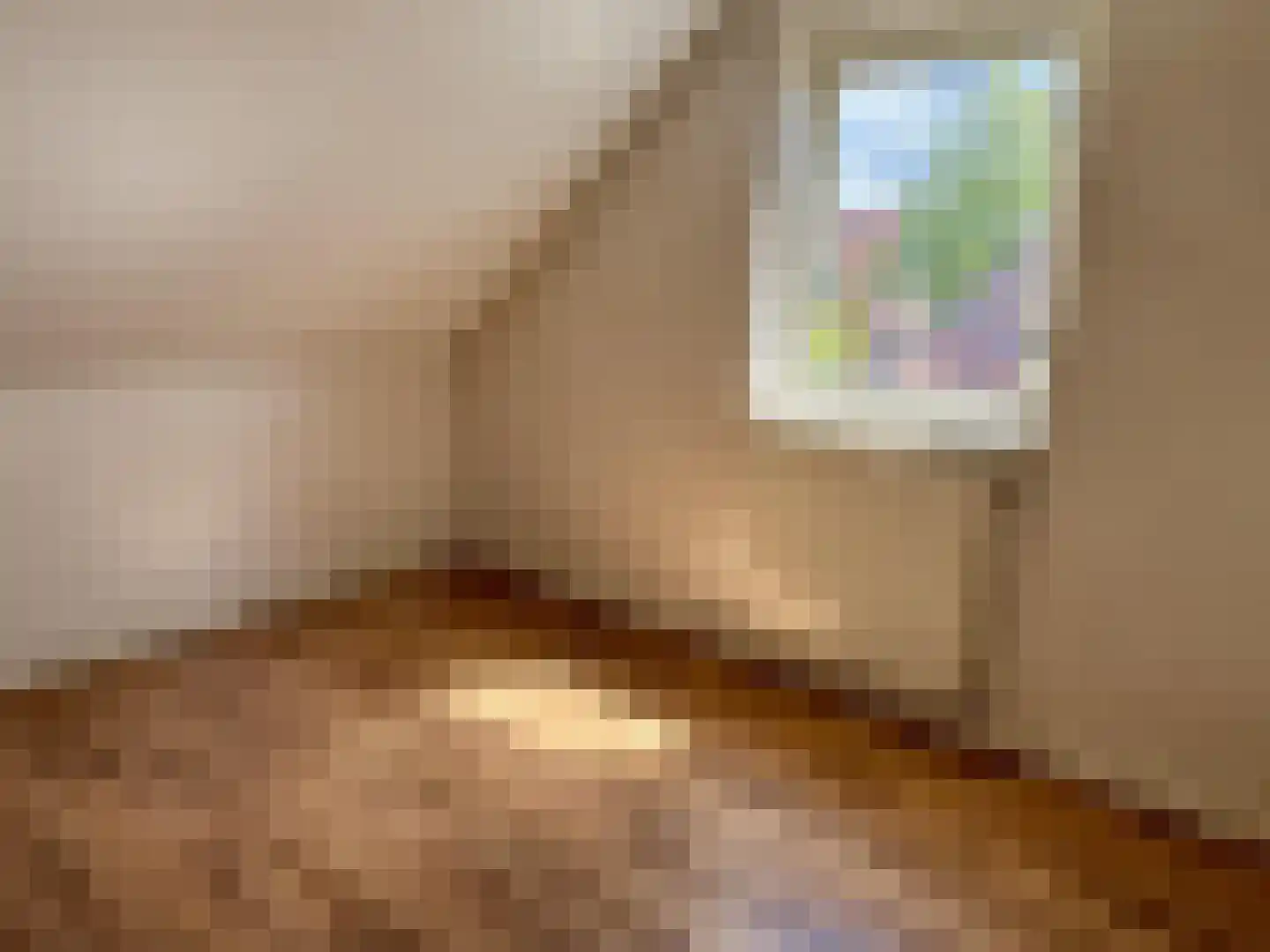 Schonckweg 13 Etten-Leur thumbnail 22