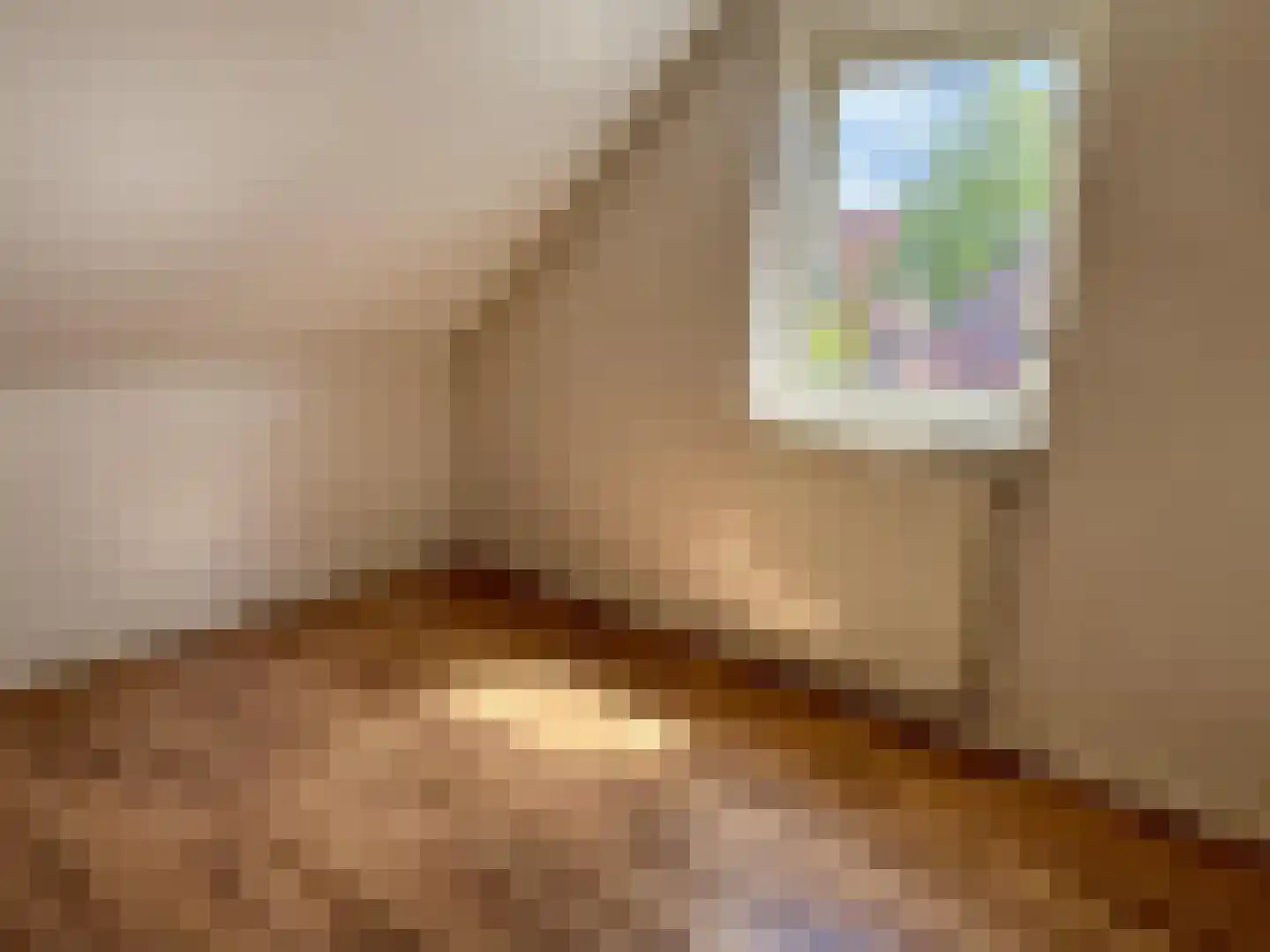 Schonckweg 13 Etten-Leur thumbnail 22