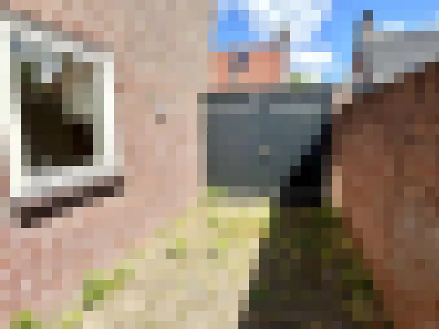 Schonckweg 13 Etten-Leur thumbnail 29