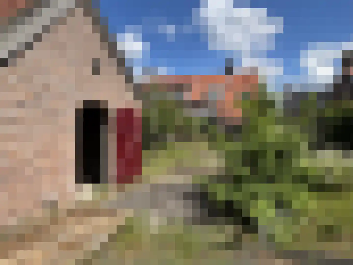 Schonckweg 13 Etten-Leur thumbnail 32