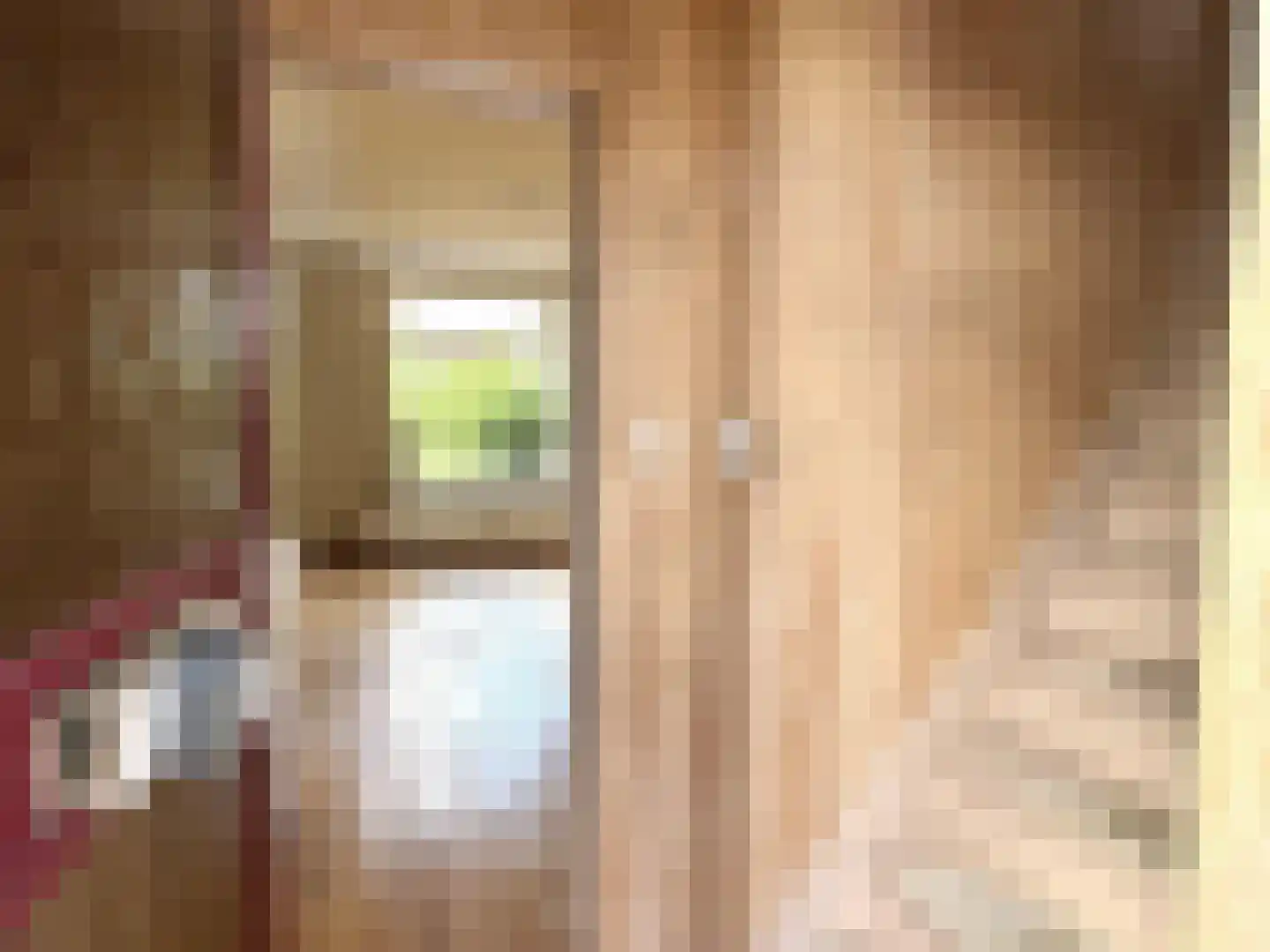 Schonckweg 13 Etten-Leur thumbnail 5