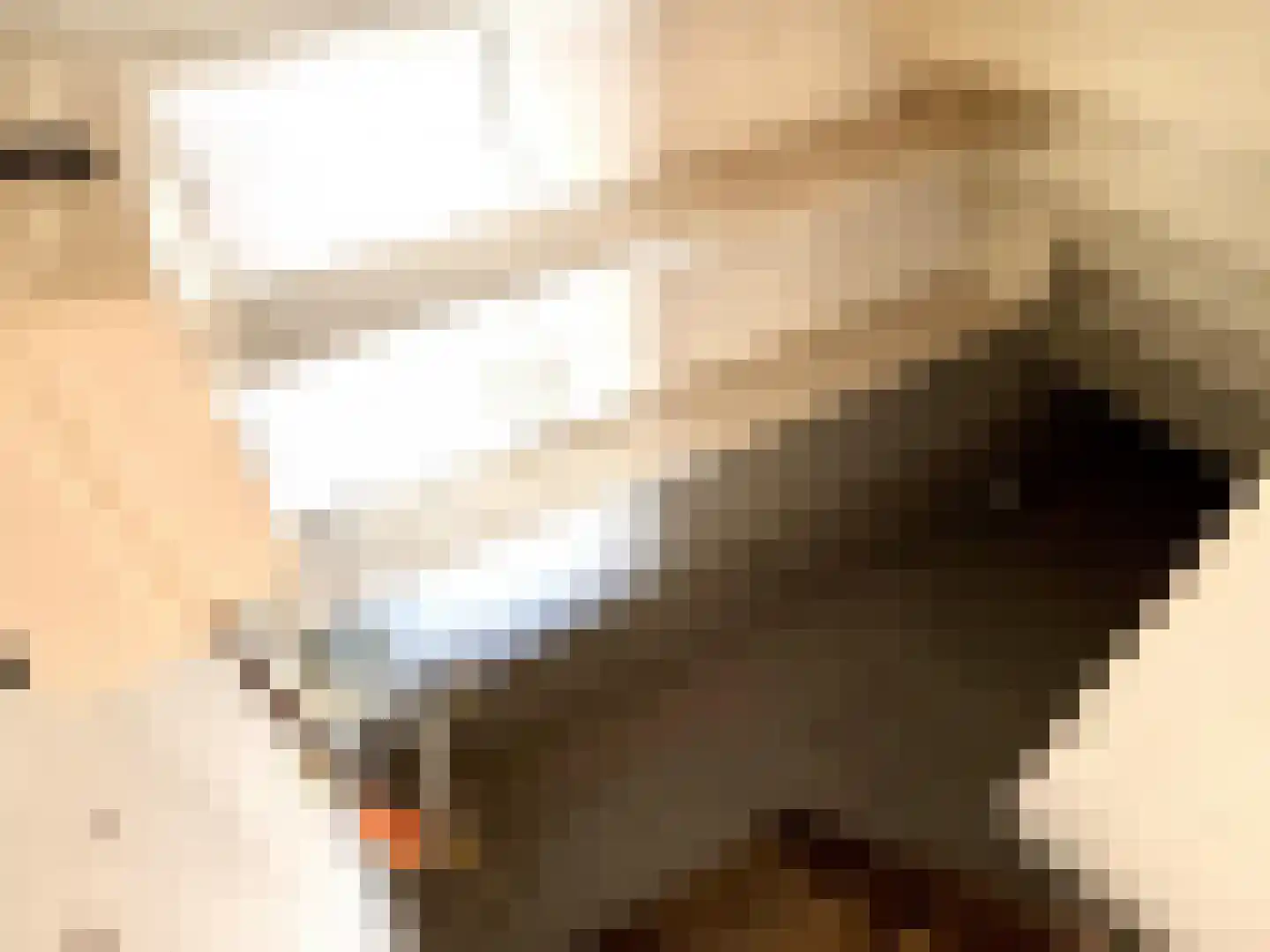 Schonckweg 13 Etten-Leur thumbnail 8