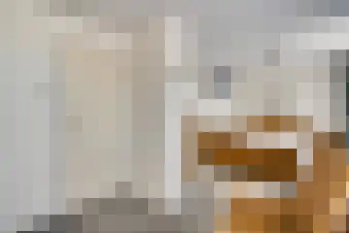 Schone Poel 21 Berg en Terblijt thumbnail 12