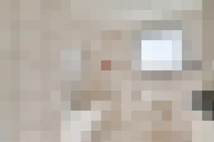 Schone Poel 21 Berg en Terblijt thumbnail 15