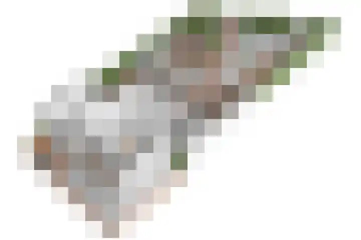 Schone Poel 21 Berg en Terblijt thumbnail 22
